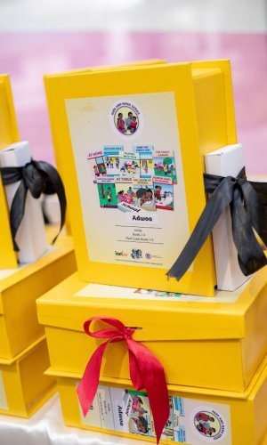 Papa and Nana Series for Kids (9 Books) - Ghanaian Family Values & Moral Lessons Picture Books