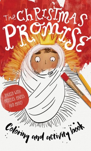 The Christmas Promise: Colouring and Activity Book – Colouring, Puzzles, Mazes and More (Tales that Tell the Truth) - Nativity Activity