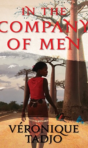 In the Company of Men - Corporate Leadership Memoir of Male Allyship