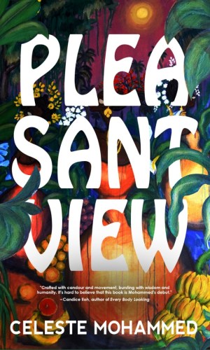 Pleasantview - Interconnected Trinidadian Short Stories of Crime, Faith & Survival