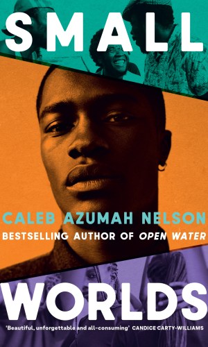 Small Worlds - Interconnected Short Stories of Migration, Memory & Belonging