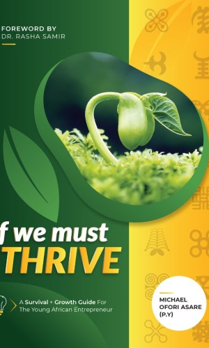 If We Must THRIVE: A Survival & Growth Guide for the Young African Entrepreneur - 12-Month Roadmap