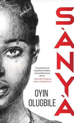 S? ny? - Magical Realism Novel of Brazilian Runaway Slave Reincarnated in Lagos