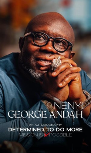 Determined to Do More: The Mission is Possible (An Autobiography) - Disability Rights Activist Memoir