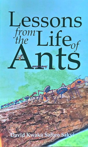 Lessons from the Life of Ants - Inspirational Parable on Teamwork, Diligence & Purpose