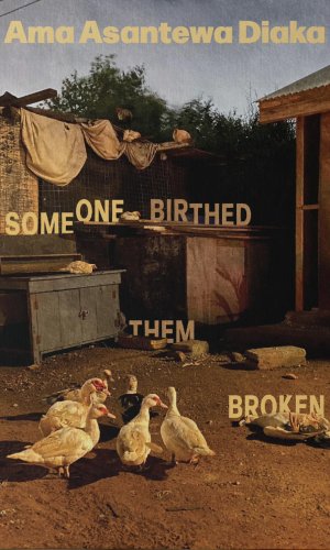 Someone Birthed Them Broken: Stories - Raw Narratives of Trauma, Healing & Redemption