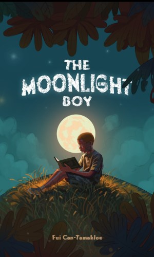 The Moonlight Boy (SDG Changemakers Series) - SDG 7 Clean Energy Night-Time Adventure Picture Book