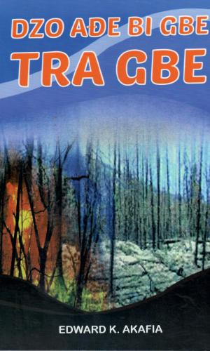 Dzo Aɖe Bi Gbe Tra Gbe (Eʋe) - Ewe Phonetic Reader with Daily Conversations