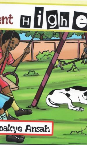 Who Went Highest? - Kite-Flying Competition