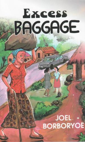 Excess Baggage - Memoir of 419 Scam Recovery & Financial Literacy