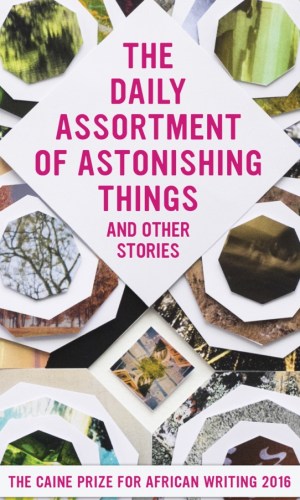 The Daily Assortment of Astonishing Things: The Caine Prize for African Writing 2016