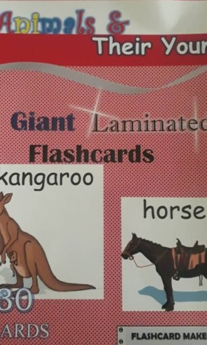 Giant Laminated Flashcards: Animals & Their Young (30 cards)