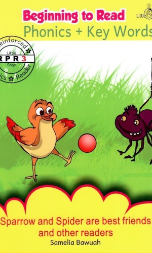 Little Sage Beginning to Read: Phonics + Key Words (Reinforced Phonics Reader #3A)