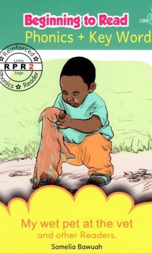 Little Sage Beginning to Read: Phonics + Key Words (Reinforced Phonics Reader #2)