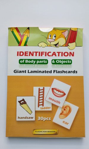 Giant Laminated Flashcards: Identification of Body Parts & Objects (30 cards)