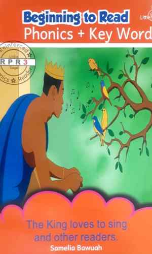 Little Sage Beginning to Read: Phonics + Key Words (Reinforced Phonics Reader #3B)