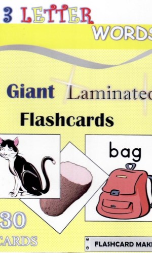 Giant Laminated Flashcards: 3-Letter Words (30 cards)