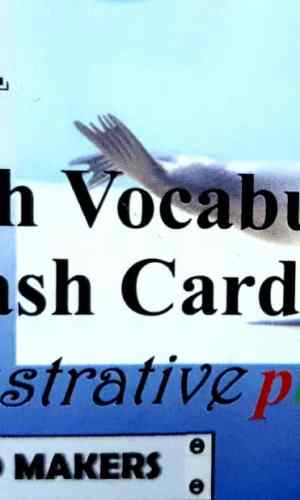 Flashcards: English Vocabulary with Illustrative Pictures – Level 1 (100 Cards)