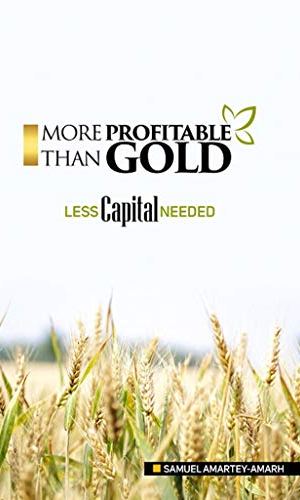 E-Book: More Profitable Than Gold – Less Capital Needed - Investment Guide for Small Businesses