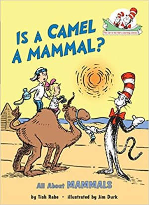 Is a Camel a Mammal?