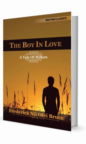 The Boy In Love – Teen Christian Romance
