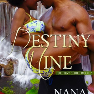 Destiny Mine – Christian Romance with Purpose