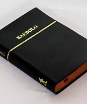 Baebolo (Nzema Bible) – Complete Nzema Holy Bible
