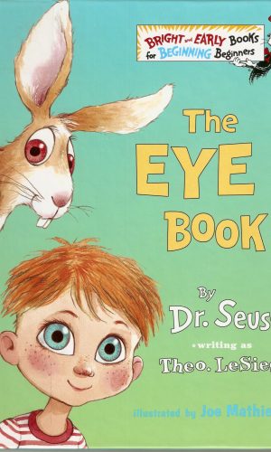 The Eye Book
