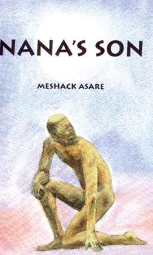 Nana’s Son – Chieftaincy Succession Drama