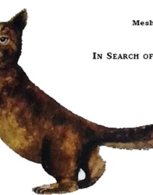 Cat in Search of a Friend – German-Ghanaian Bilingual Picture Book