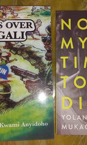 Bookset: Not My Time to Die & Guns Over Kigali (2 books) - Rwanda Genocide Memoirs