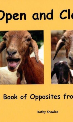 Open and Closed: Ghanaian Opposites Picture Book