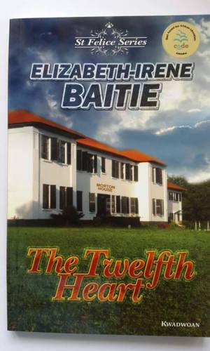 The Twelfth Heart – Organ Donation Medical Thriller