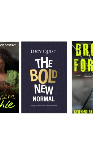 Booknook Leadership Pack: They Call Me Archie, The Bold New Normal, Broken for Use (3 Exceptional Ghanaian Leaders)