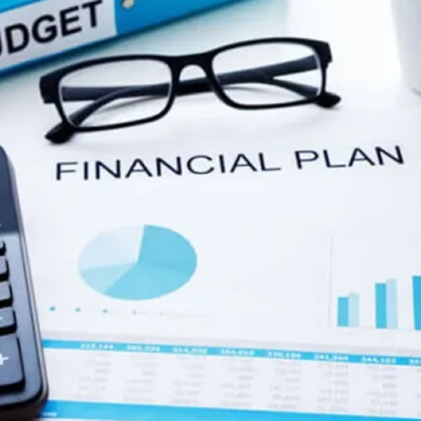 idsconsultingservices - Stand Alone Year End Accounts