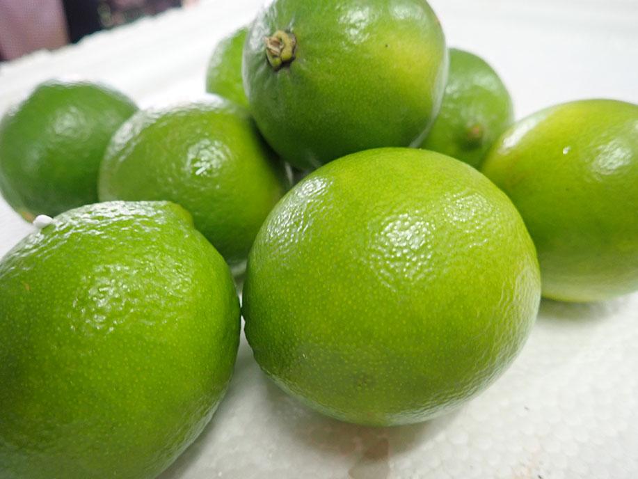 Big Samps – Lime