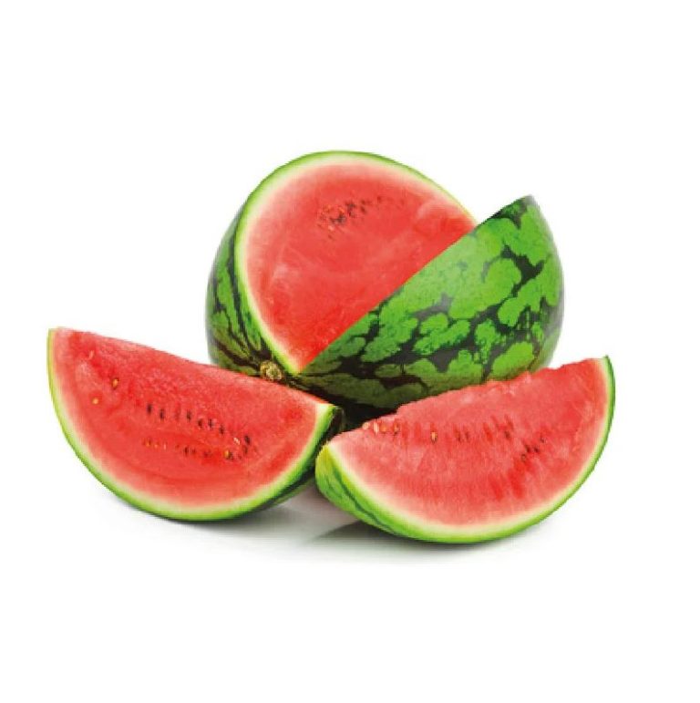 Big Samps – Medium Size Watermelon