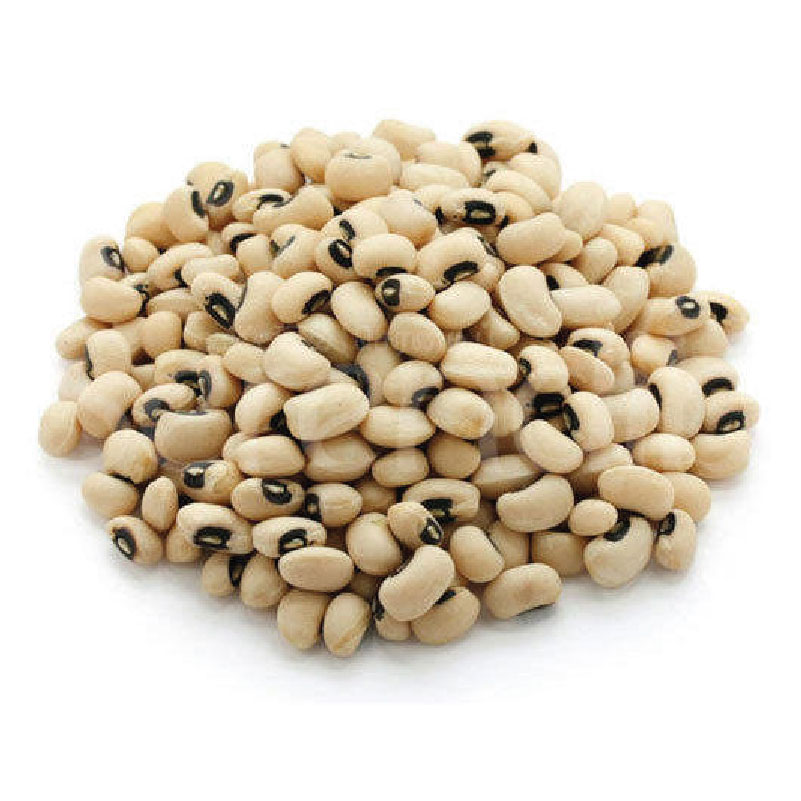 Big Samps – Beans – Cup