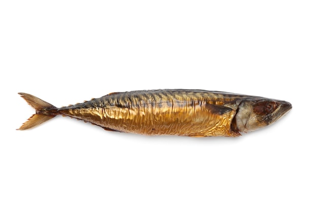 Big Samps – Abidjan Salmon (Smoked Mackerel)