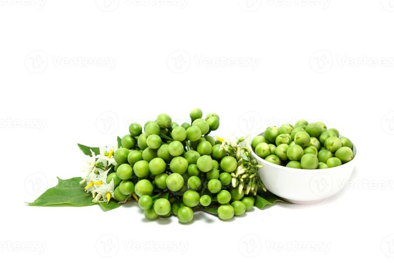 Big Samps – Abeduru (Turkey Berries)