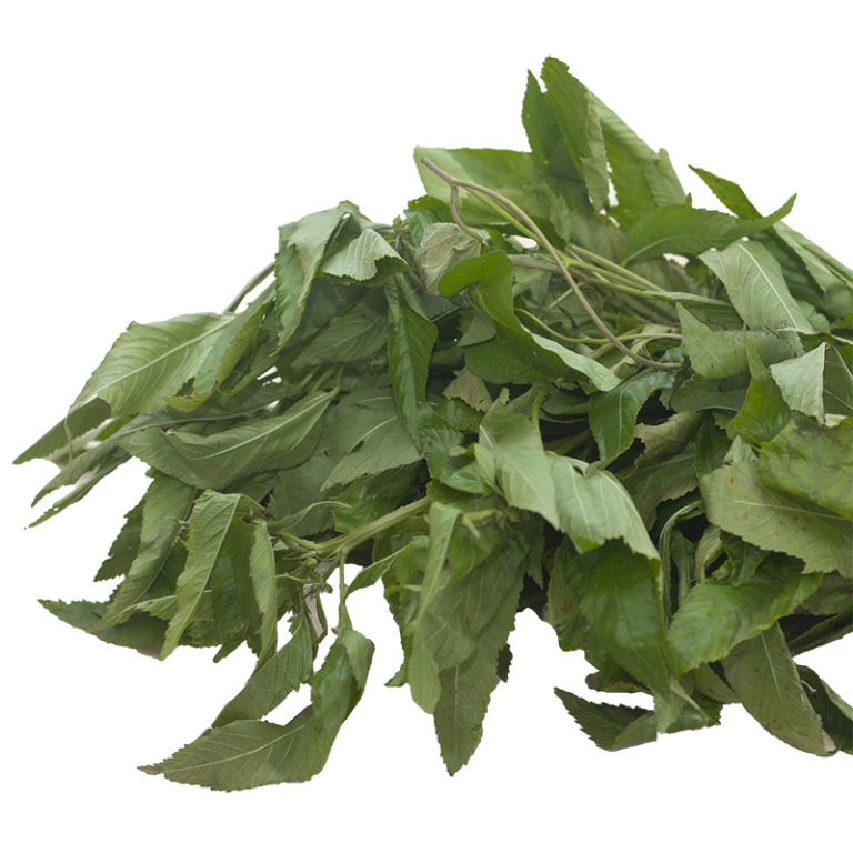 Big Samps – Ayoyo (Jute Leaves)