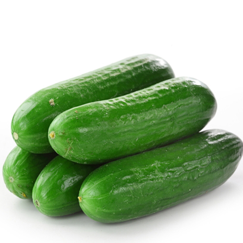 Cucumber | Big Samps Market