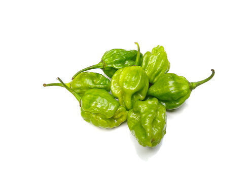 Green Scotch Bonnet Pepper | Big Samps Market