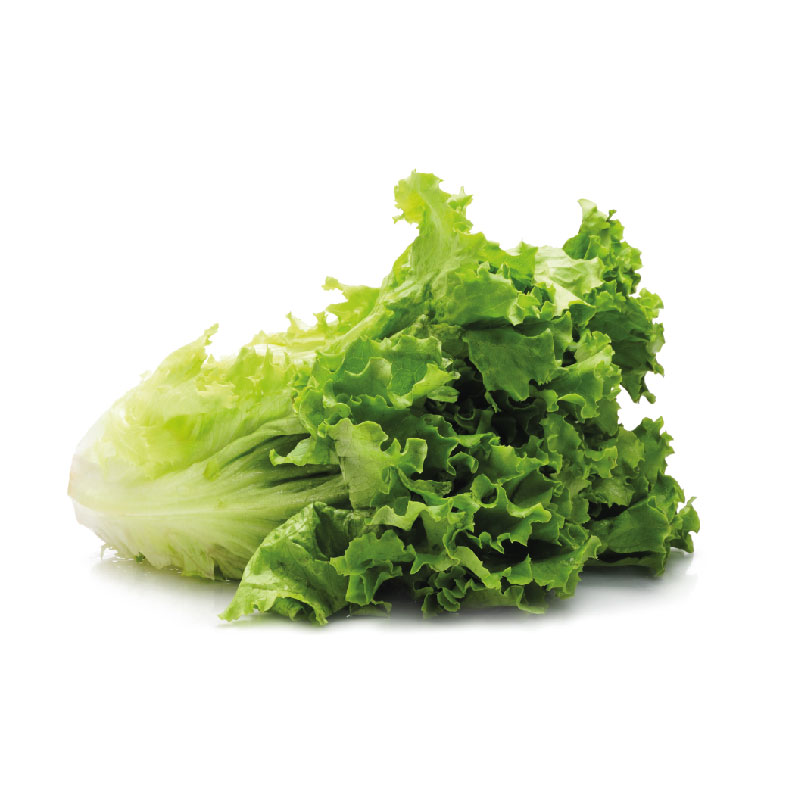 Lettuce | Big Samps Market