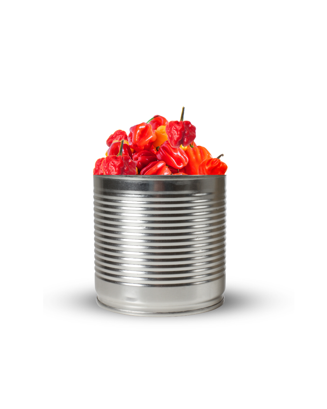 Red Pepper – Olonka | Big Samps Market