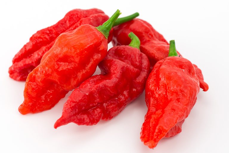 Red Scotch Bonnets | Big Samps Market