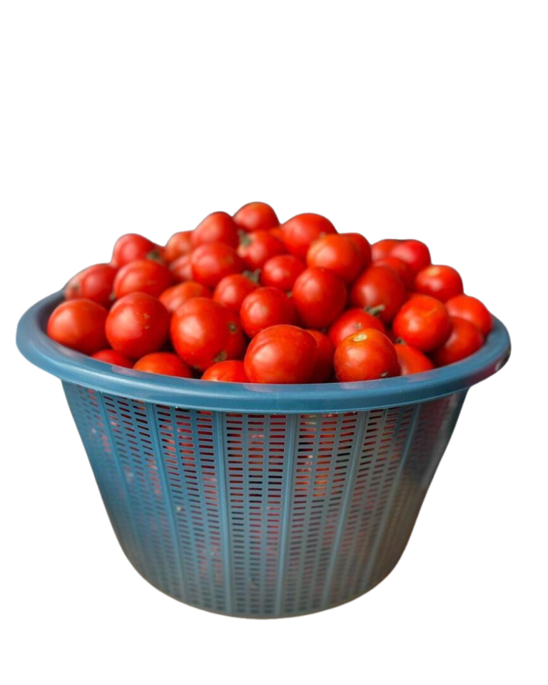 Tomatoes (Small Basket) | Big Samps Market