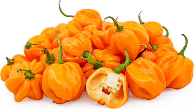 Yellow Scotch Bonnets – Ogyenma | Big Samps Market