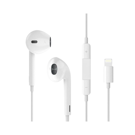 Rock ES06 Wired In-Ear Earphones with Built-in Microphone