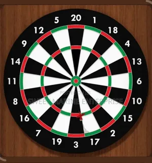Professional Dart Board | Perfect for 501 Games
